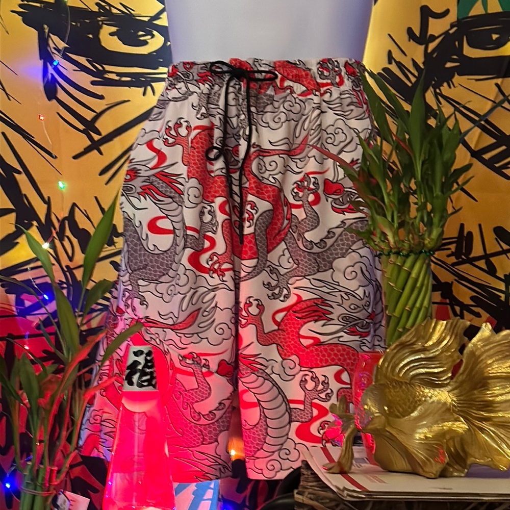 EUC Encrypted NYC Men’s Japanese Dragon Shorts